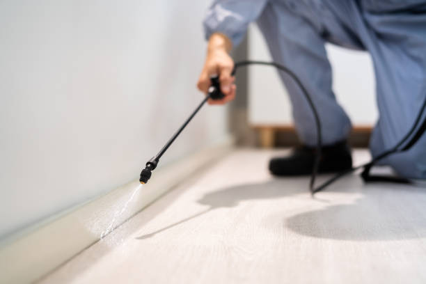 Licensed Pest Control service in La Mesilla, NM - Show Me Pest Control
